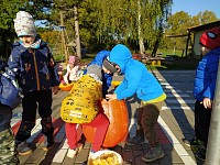 Dýňování - obrázek číslo: 6