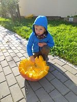 Dýňování - obrázek číslo: 8