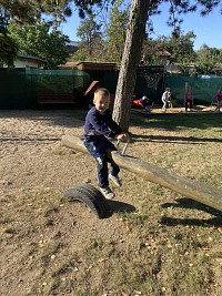 Týden 9. - 13.10. - obrázek číslo: 9