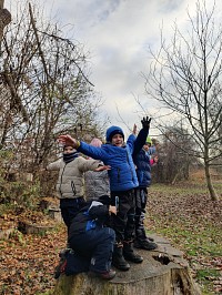 Listopad ve školce - obrázek číslo: 138