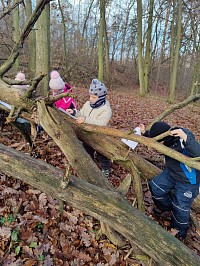 Listopad ve školce - obrázek číslo: 129