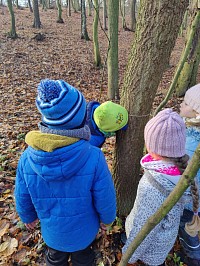 Listopad ve školce - obrázek číslo: 153