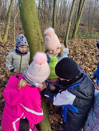 Listopad ve školce - obrázek číslo: 152