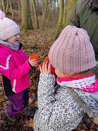 Listopad ve školce - obrázek číslo: 151
