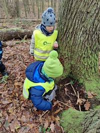 Listopad ve školce - obrázek číslo: 173