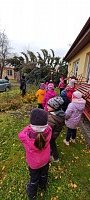 Vánoce - obrázek číslo: 33
