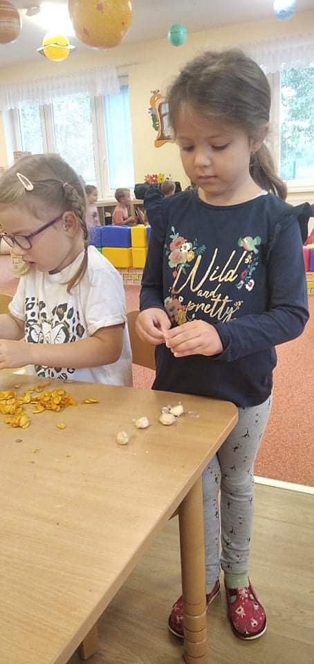 Podzimní nálada - obrázek: received_1216989735469228.jpeg