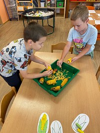 Září v naší školce - obrázek číslo: 11