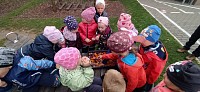 Chystáme zeleninu na pečení - obrázek číslo: 5