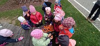 Chystáme zeleninu na pečení - obrázek číslo: 6