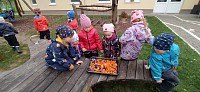 Chystáme zeleninu na pečení - obrázek číslo: 7