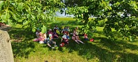 Výlet na zmrzlinu do Ořechova - obrázek číslo: 6