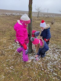 Leden ve školce - obrázek číslo: 228