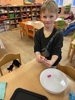 Leden ve školce - obrázek číslo: 318