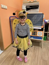 Karneval - obrázek číslo: 16