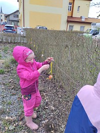 Barvení vajíček - obrázek číslo: 22