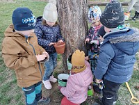 Velikonoční osení - obrázek číslo: 1