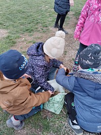 Velikonoční osení - obrázek číslo: 4