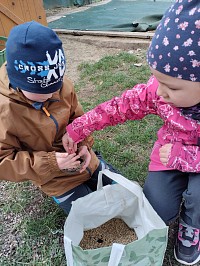 Velikonoční osení - obrázek číslo: 5