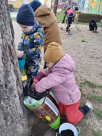 Velikonoční osení - obrázek číslo: 6