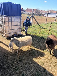 Duben v naší školce - obrázek číslo: 33