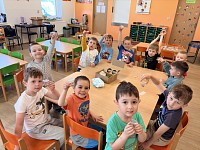 Naše housenky/motýlci - obrázek číslo: 19