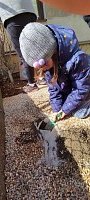 Naše dny ve školce - obrázek číslo: 31