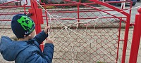 Čarodejnice - obrázek číslo: 1