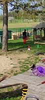 Čarodejnice - obrázek číslo: 17