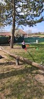 Čarodejnice - obrázek číslo: 21