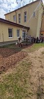 Čarodejnice - obrázek číslo: 39