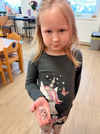 Chováme motýlky - obrázek číslo: 29