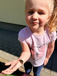 Chováme motýlky - obrázek číslo: 22