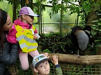 ZOO Lešná - obrázek číslo: 15