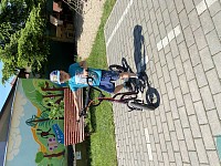 Týden 27.5. - 31.5. - obrázek číslo: 25