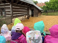Výlet do Centra EDEN - obrázek číslo: 54