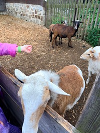 Výlet do Centra EDEN - obrázek číslo: 53