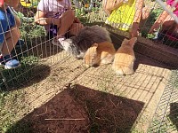 Červen ve školce - obrázek číslo: 123