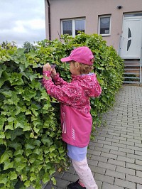 Hrajeme si na pošťáky - obrázek číslo: 15