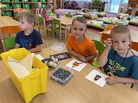 Týden 10.-14.6. - obrázek číslo: 8