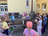 Týden 10.-14.6. - obrázek číslo: 22