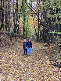 ŠD - pozorování Karhánku pod mikroskopy - obrázek číslo: 10
