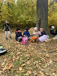 ŠD - pozorování Karhánku pod mikroskopy - obrázek číslo: 9