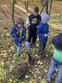 ŠD - Den stromů - sázení - obrázek číslo: 10