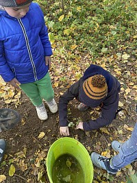 ŠD - Den stromů - sázení - obrázek číslo: 12