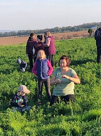 Drakiáda - obrázek číslo: 19