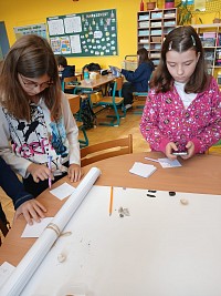 Výuka přírodovědy ve 4. a 5. ročníku - obrázek číslo: 7