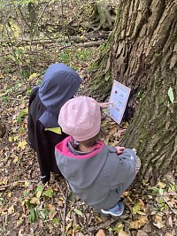 ŠD - Dýňová stezka - obrázek číslo: 4