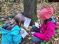 ŠD - Dýňová stezka - obrázek číslo: 5