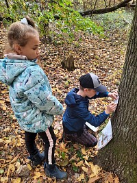 ŠD - Dýňová stezka - obrázek číslo: 6